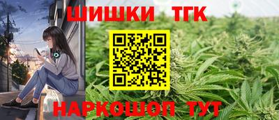 индика Мариинск