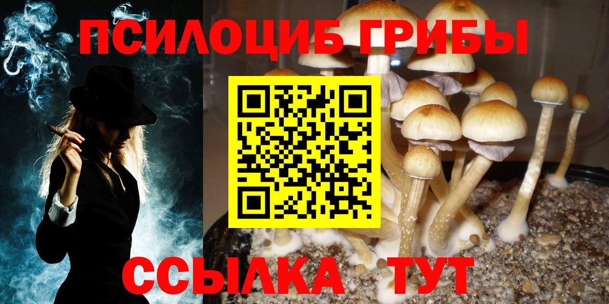 Галлюциногенные грибы Psilocybine cubensis  Вход с VPN  Азов 