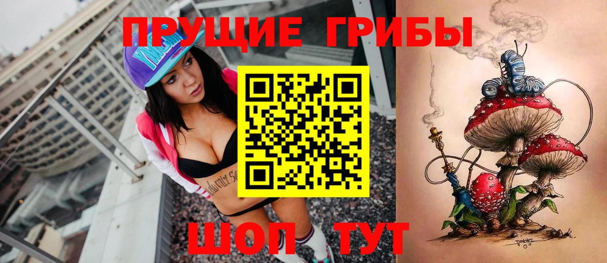 Галлюциногенные грибы Psilocybine cubensis Азов